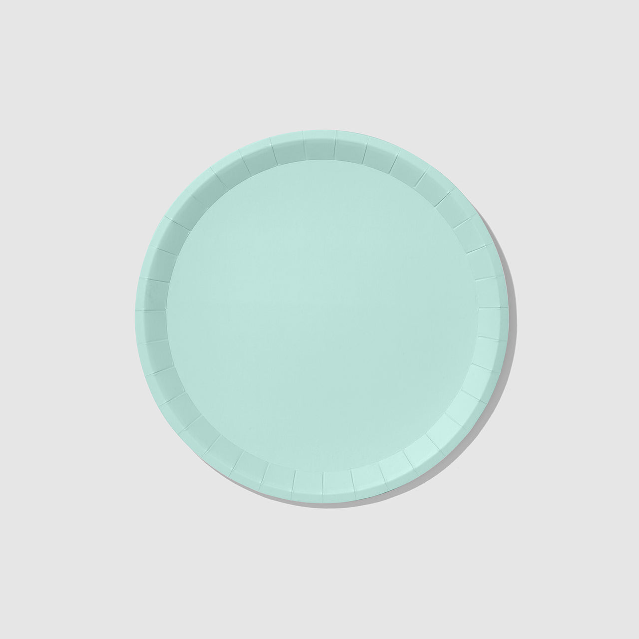 Mint Classic Large Plates (10 per pack)