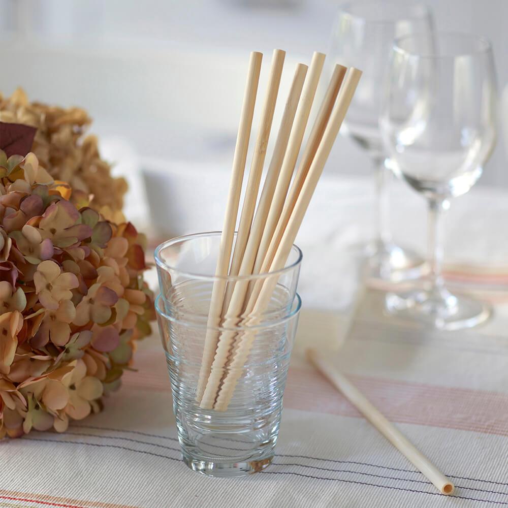 Disposable Bamboo Straws, Bulk Case | Amazing Pinatas