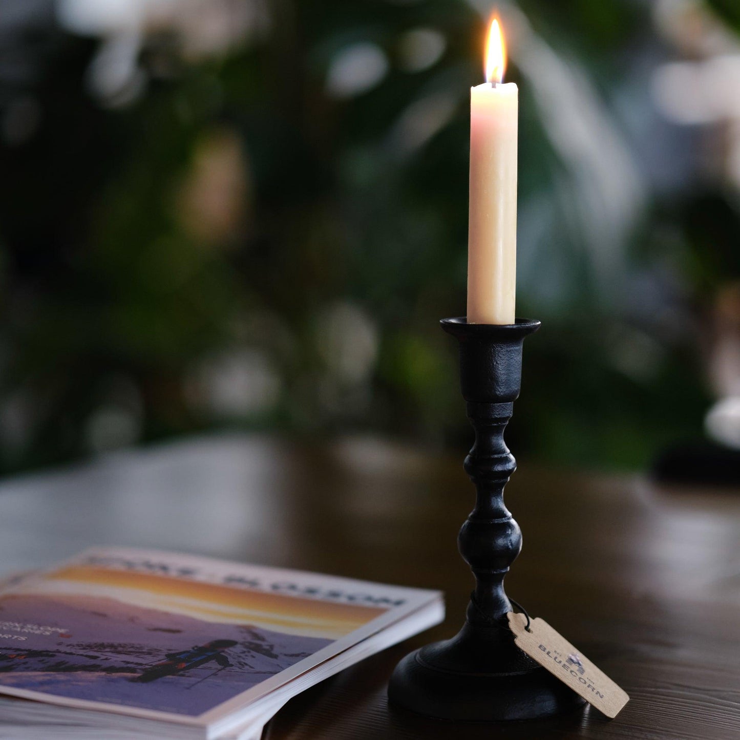 Hand-Dipped Beeswax Taper Candles - Bulk 4-Pair Bundle | Amazing Pinatas