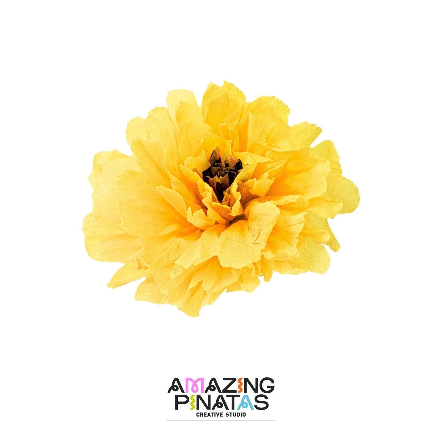 Handmade Paper Flowers | Amazing Pinatas