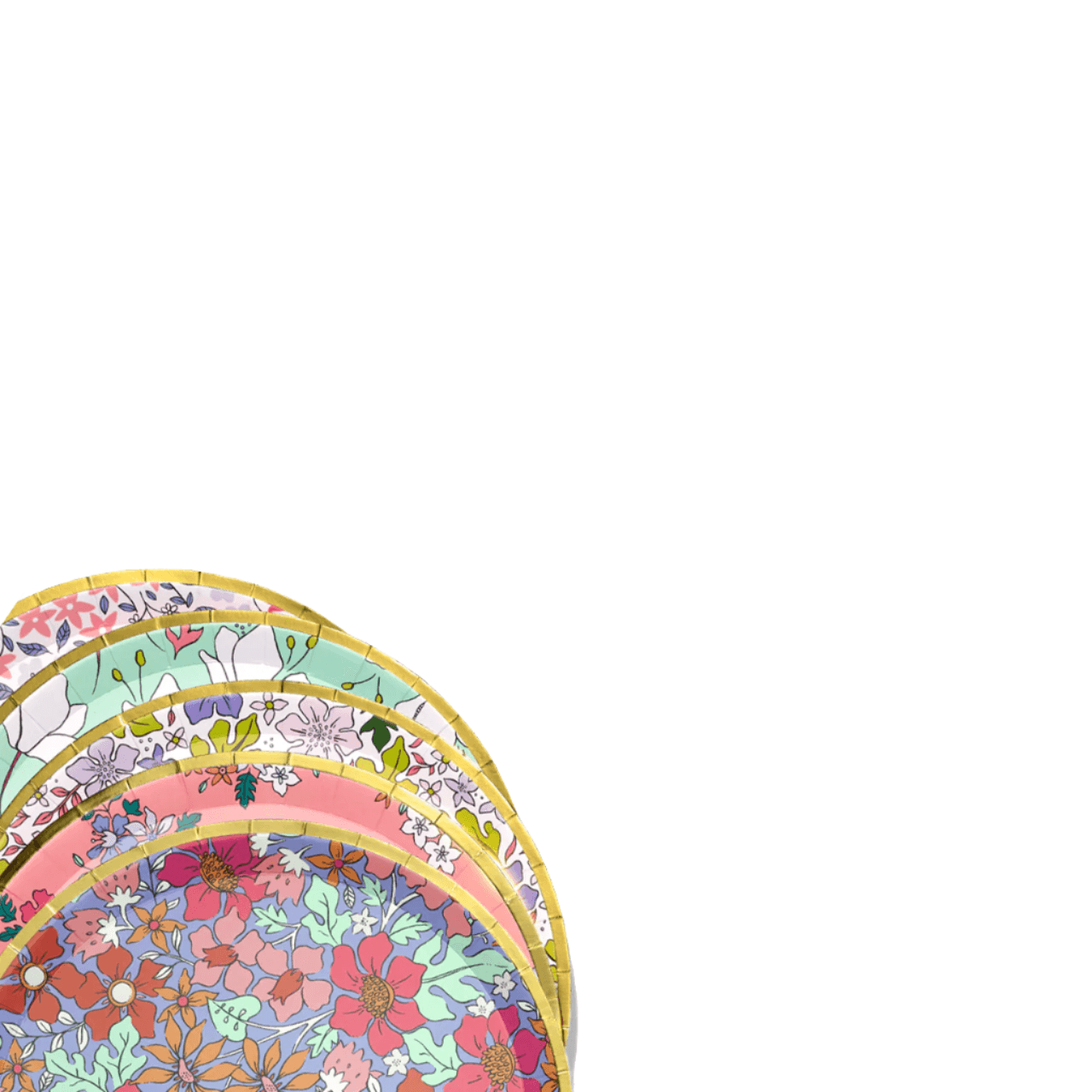 In Full Bloom Large Plates (10 per pack) | Amazing Pinatas
