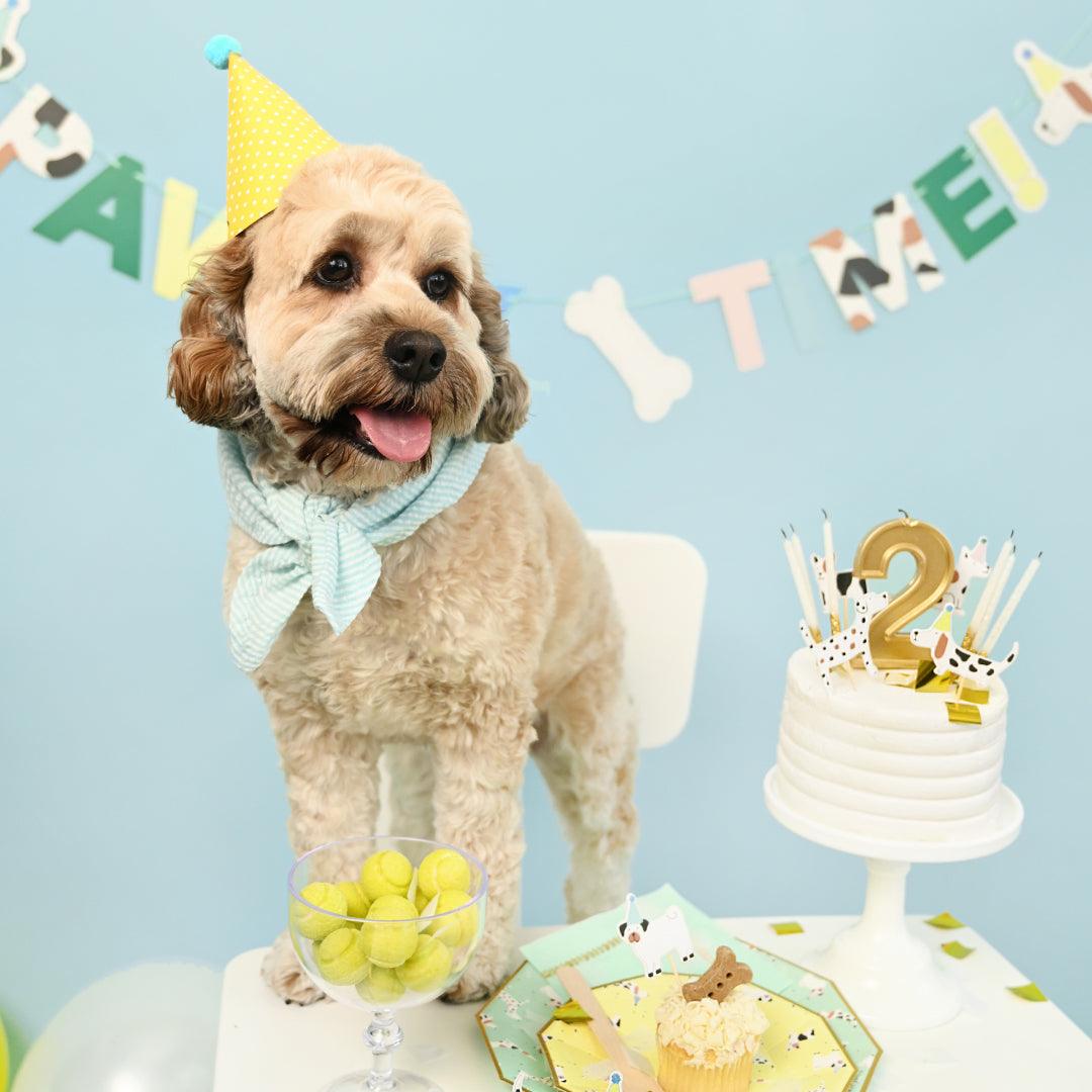 Pawty Time Banner | Amazing Pinatas