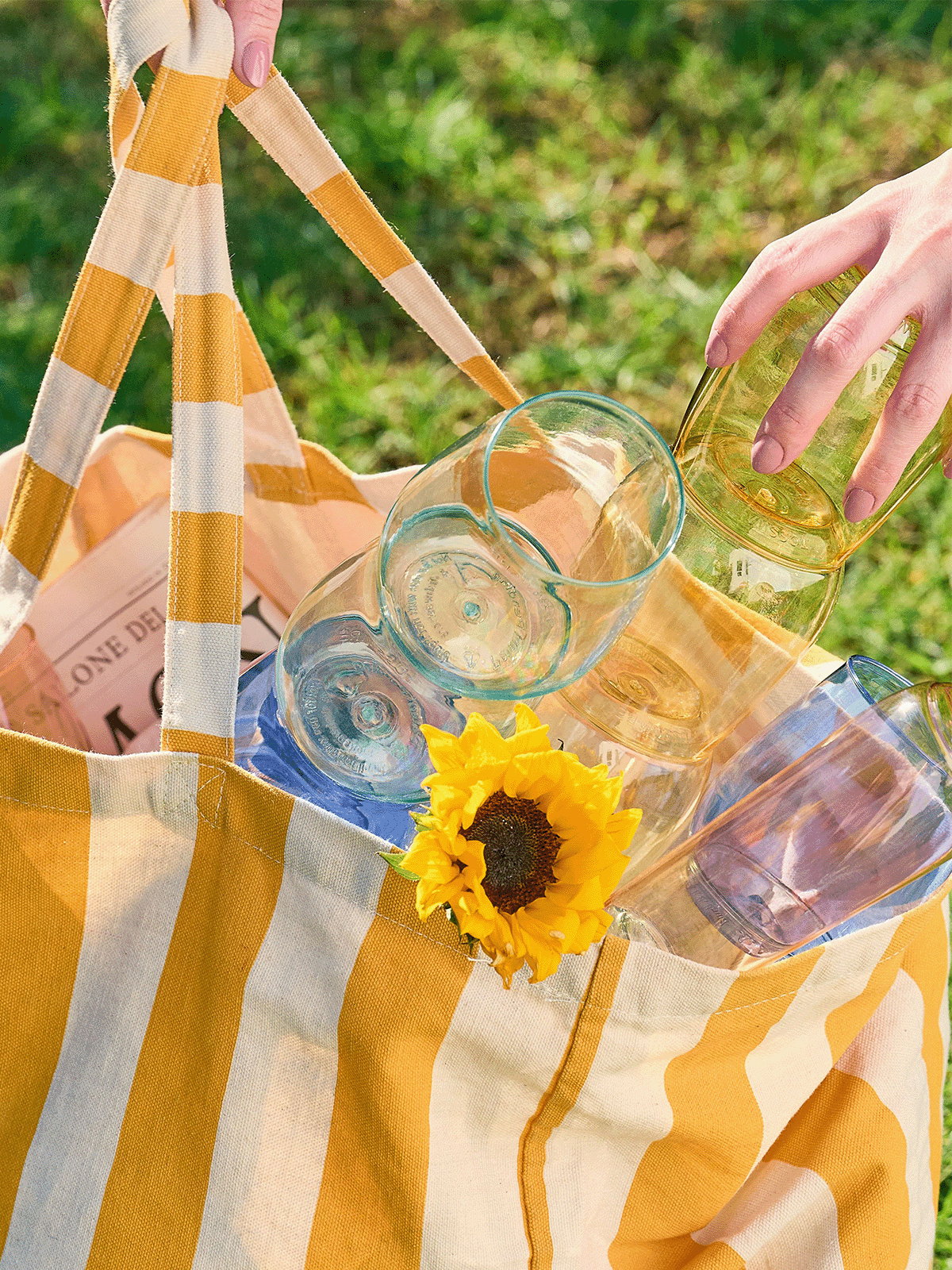 Stemless Wine Glasses Set 14oz | Color Set | Amazing Pinatas