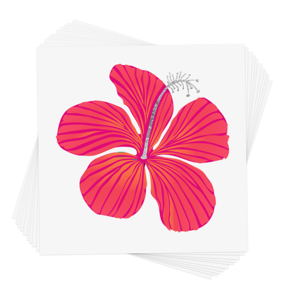 SUNSET HIBISCUS | Amazing Pinatas