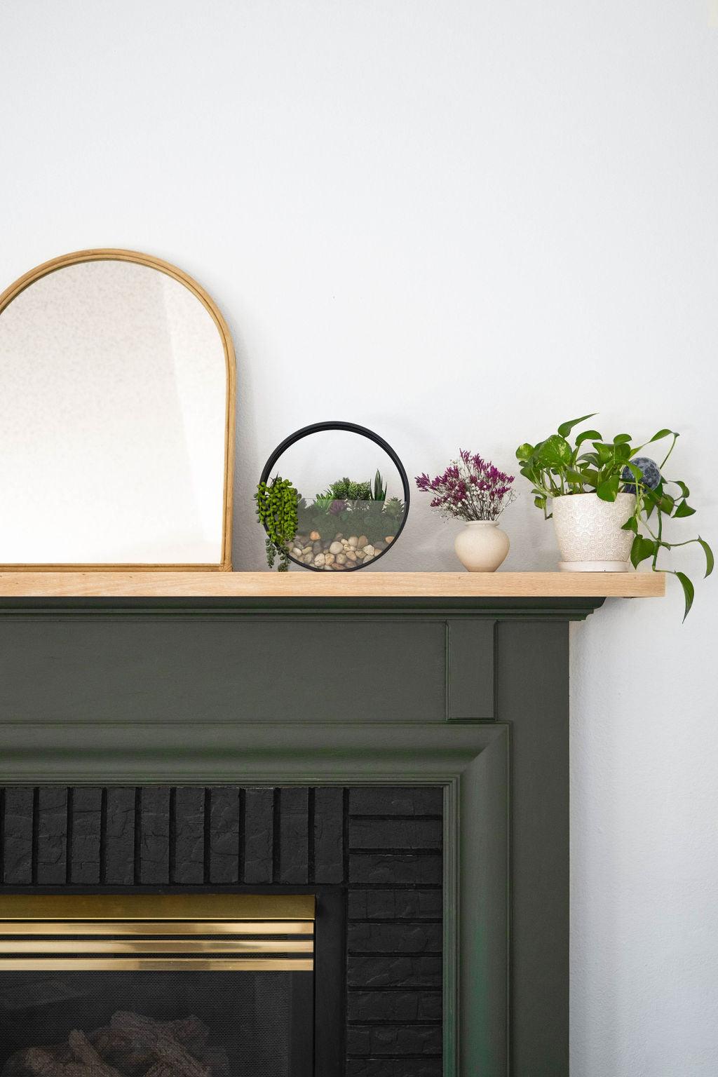 Wall Terrarium Kit | Amazing Pinatas