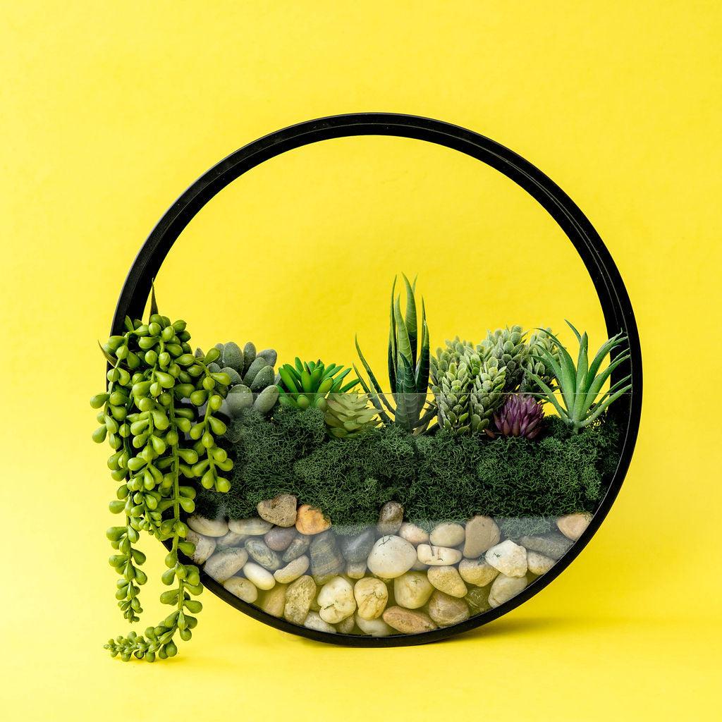 Wall Terrarium Kit | Amazing Pinatas