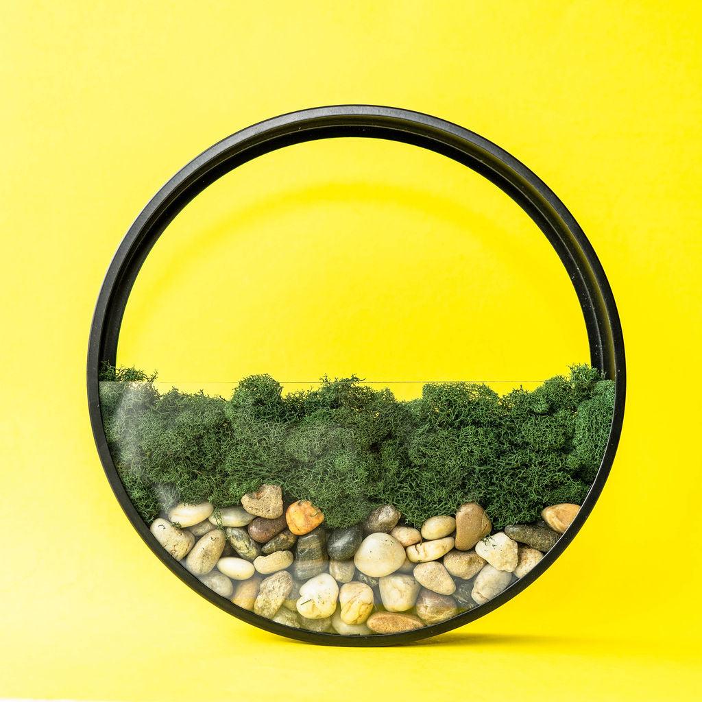 Wall Terrarium Kit | Amazing Pinatas