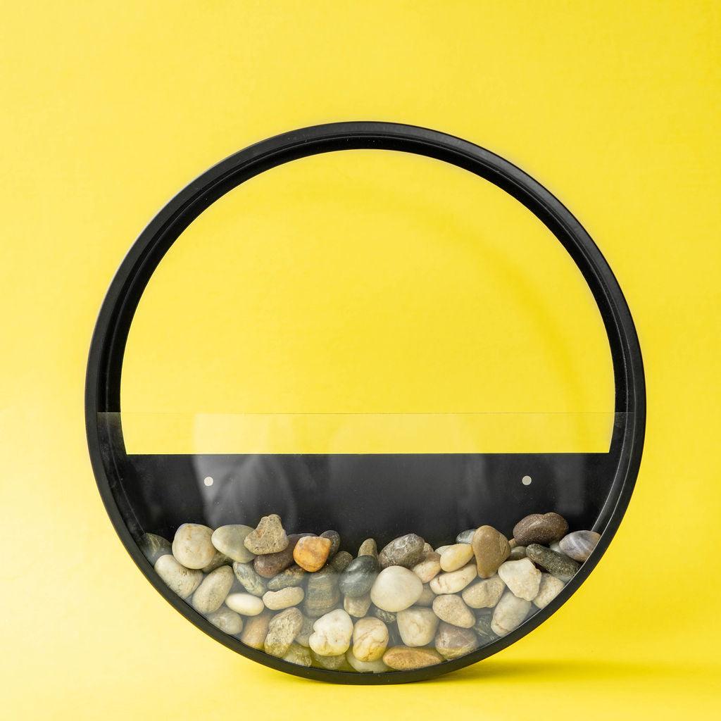 Wall Terrarium Kit | Amazing Pinatas