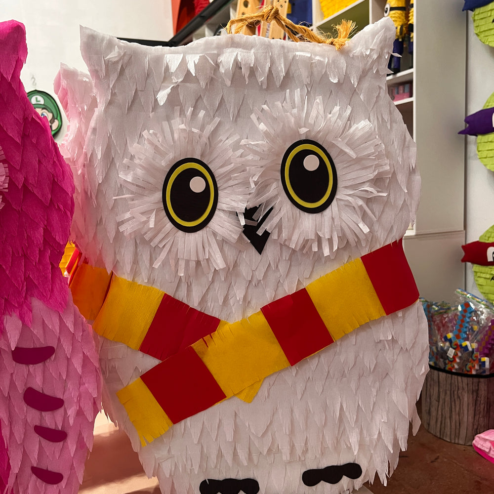 Wizard Owl Pinata