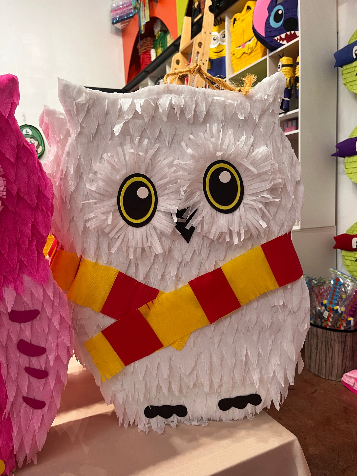 Wizard Owl Pinata