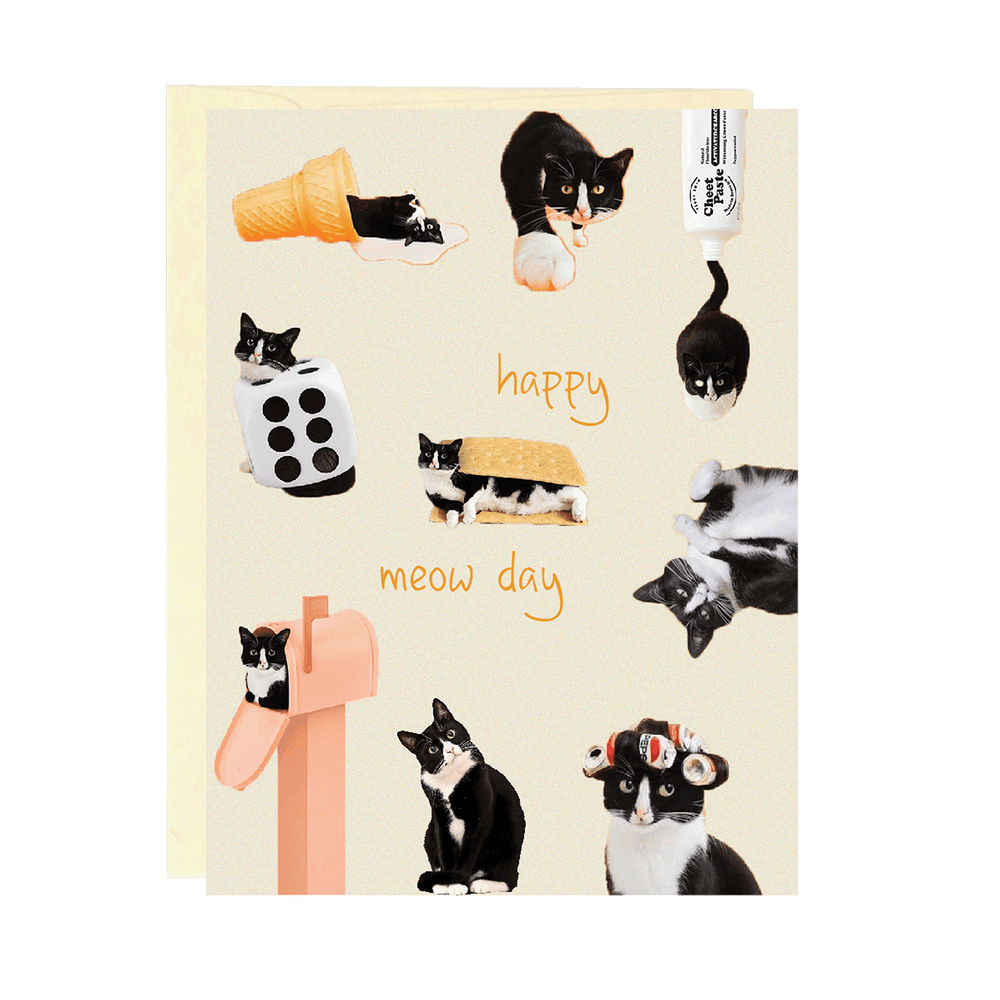 BIRTHDAY CARD - "Meow" Day