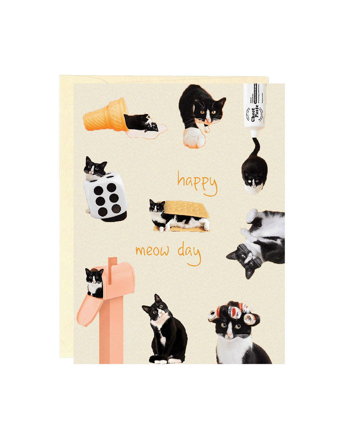 BIRTHDAY CARD - "Meow" Day