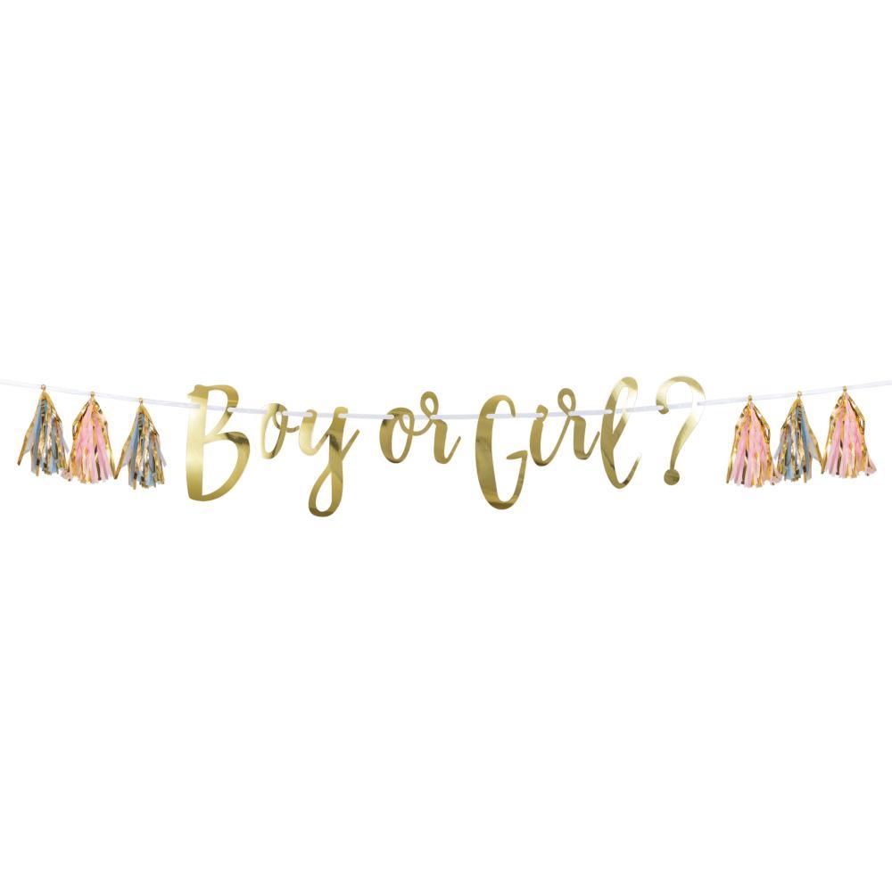 "Boy Or Girl?" Pink, Blue, And Gold Tassel Banner (1/Pkg) | Amazing Pinatas 