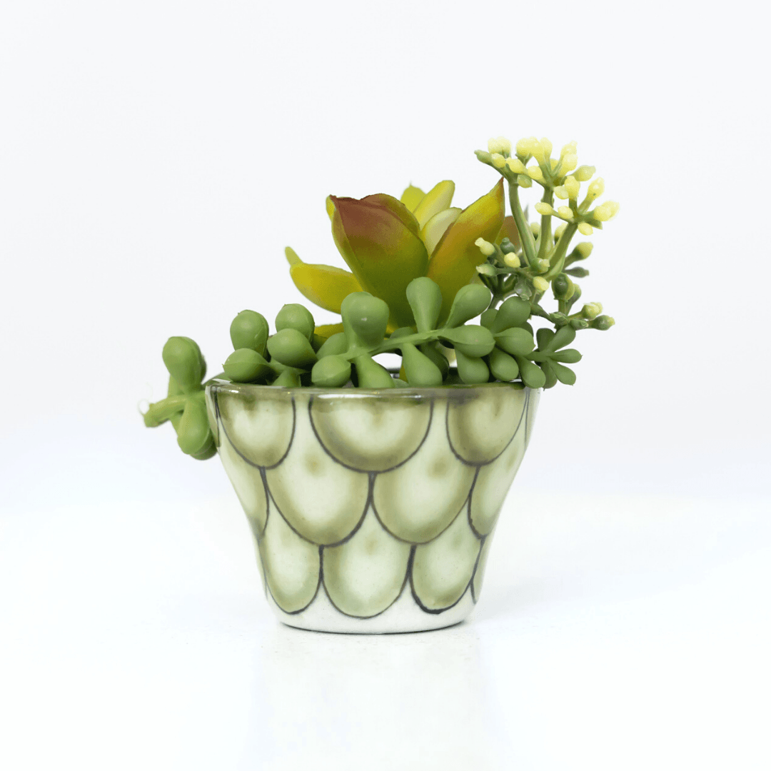 Ceramic Succulent Planter | Amazing Pinatas 