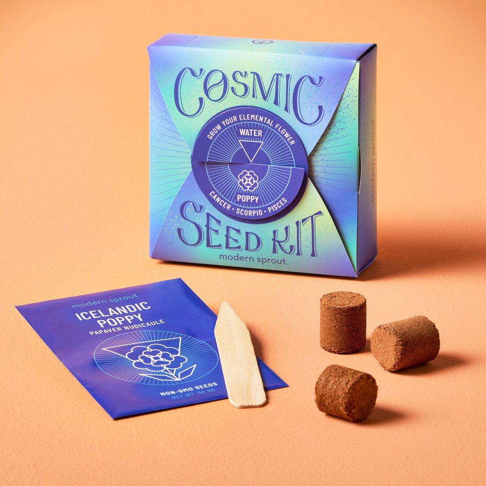 
                  
                    Cosmic Seed Kits | Amazing Pinatas 
                  
                