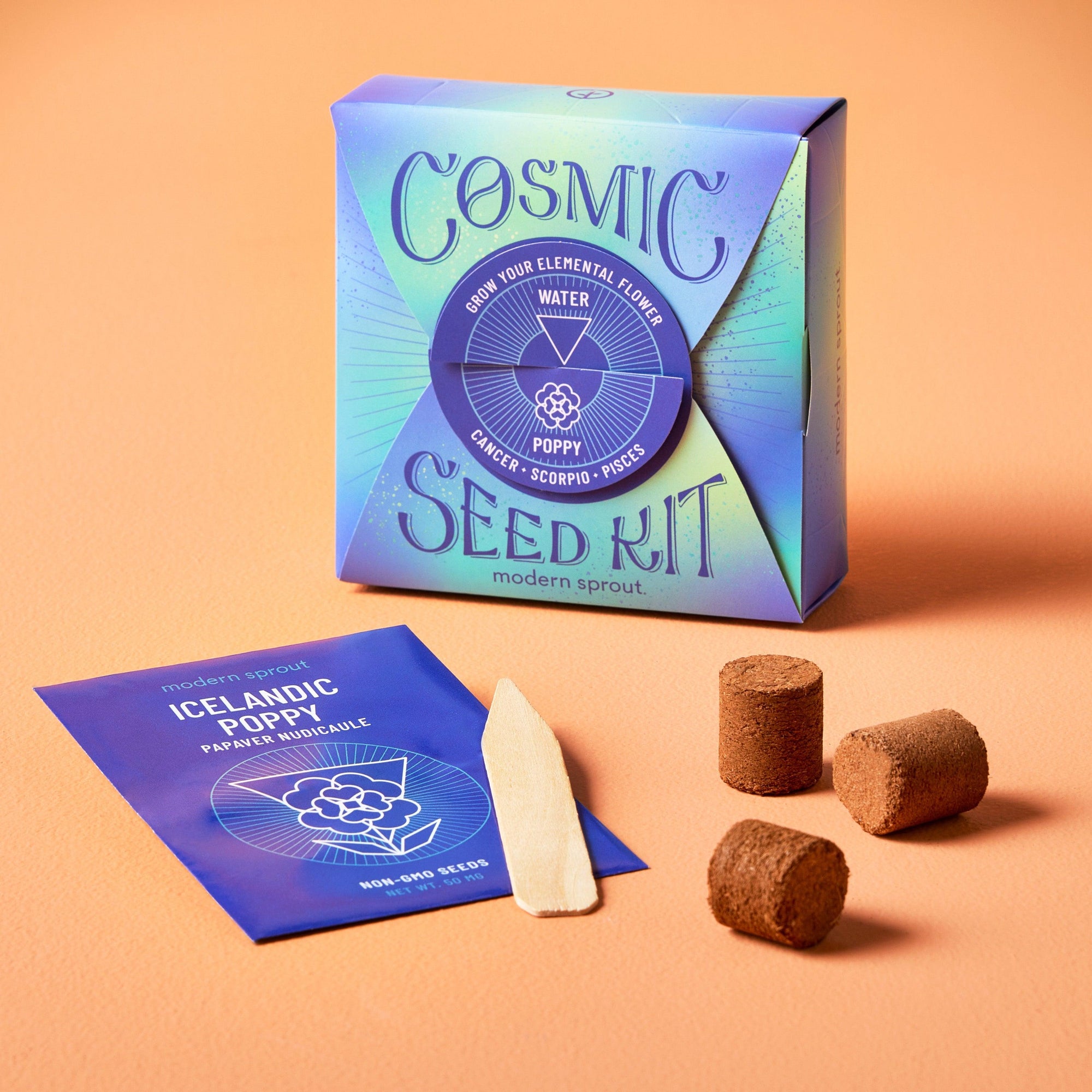 Cosmic Seed Kits | Amazing Pinatas 