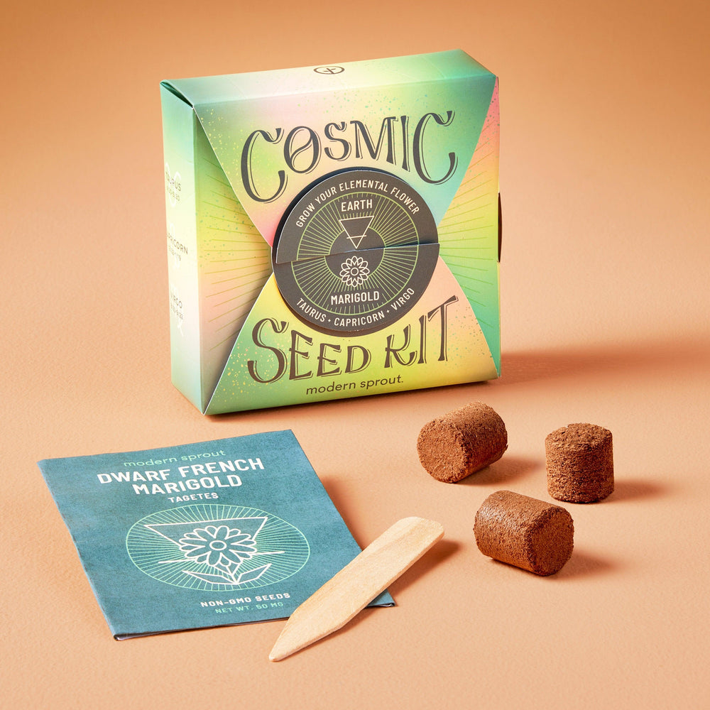 
                  
                    Cosmic Seed Kits | Amazing Pinatas 
                  
                