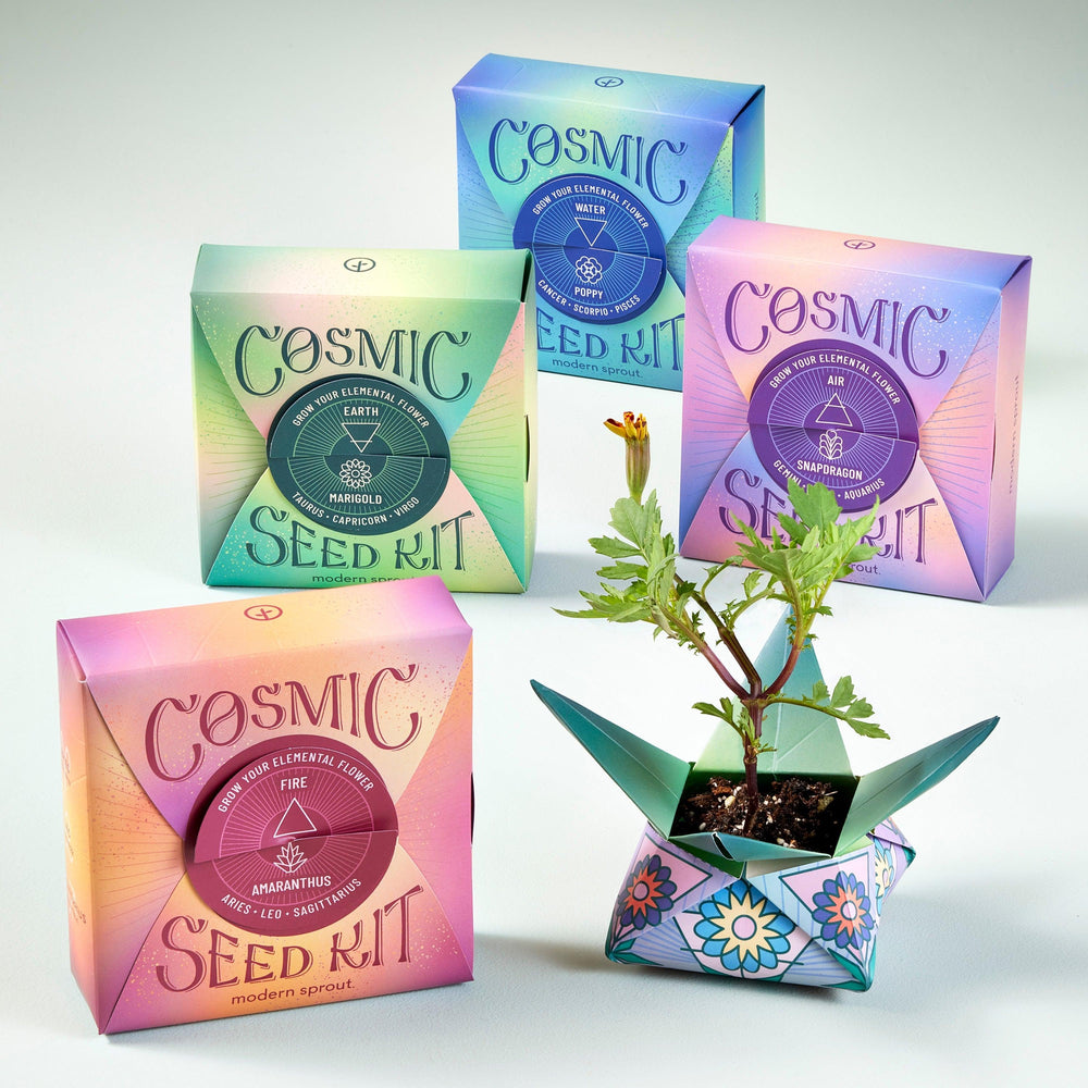 
                  
                    Cosmic Seed Kits | Amazing Pinatas 
                  
                