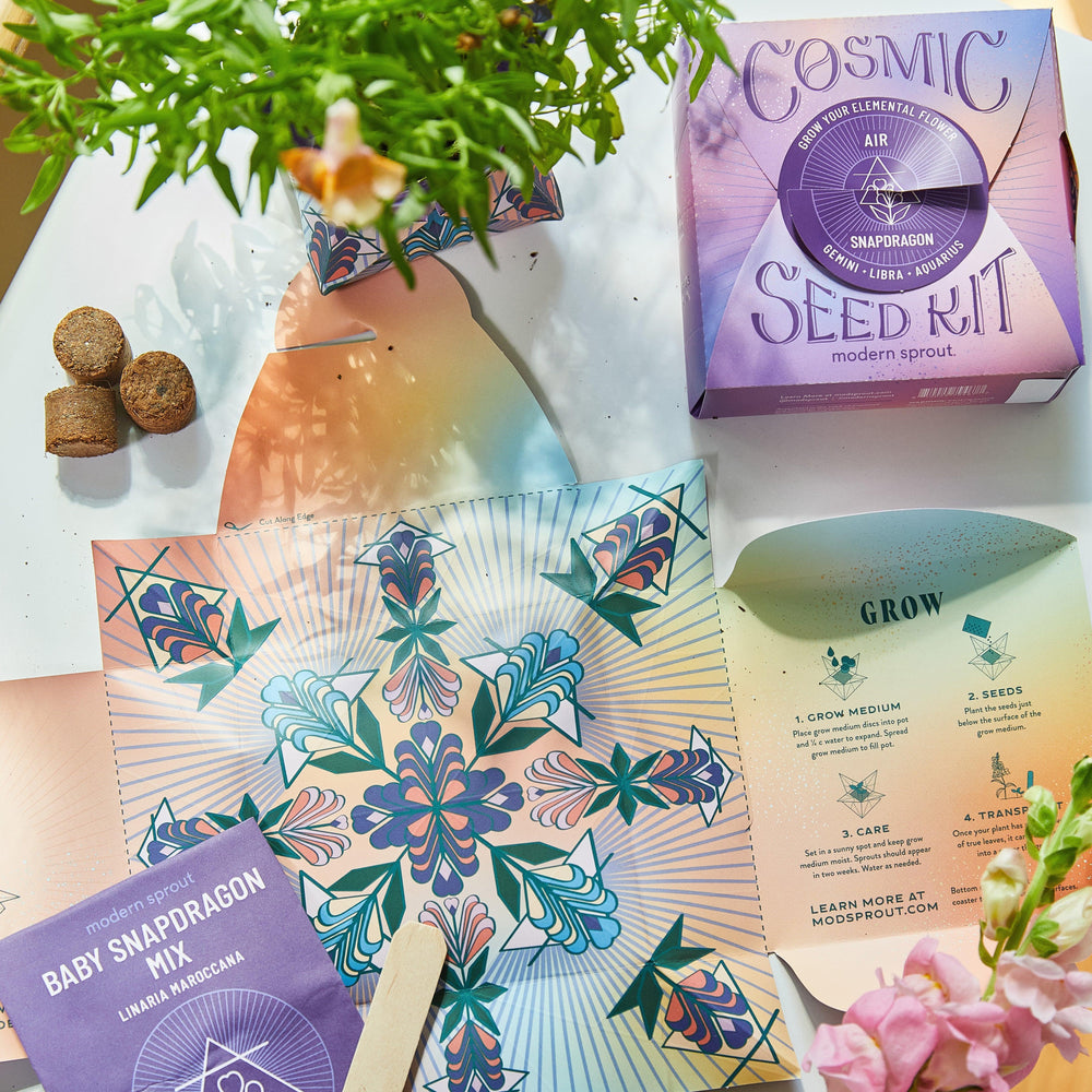 
                  
                    Cosmic Seed Kits | Amazing Pinatas 
                  
                