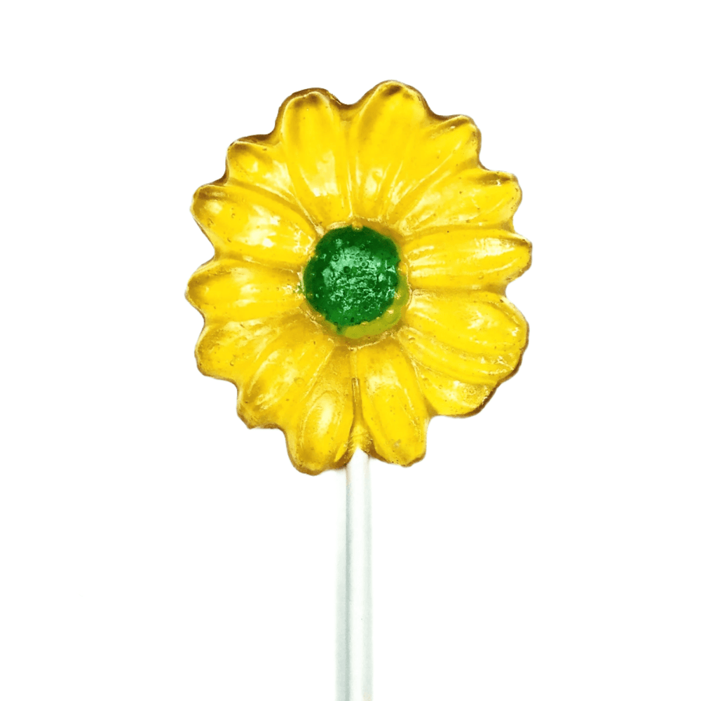 
                  
                    Daisy Flower Lollipop Candy | Amazing Pinatas 
                  
                