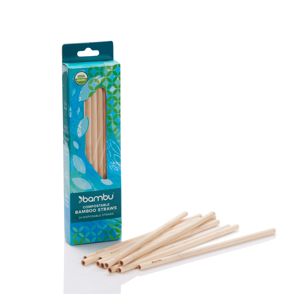 Disposable Bamboo Straws. Box of 24 | Amazing Pinatas 