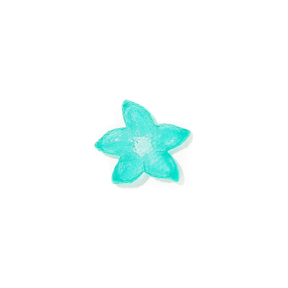 
                  
                    Hollow Hard Candy | Ocean Starfish | Amazing Pinatas 
                  
                