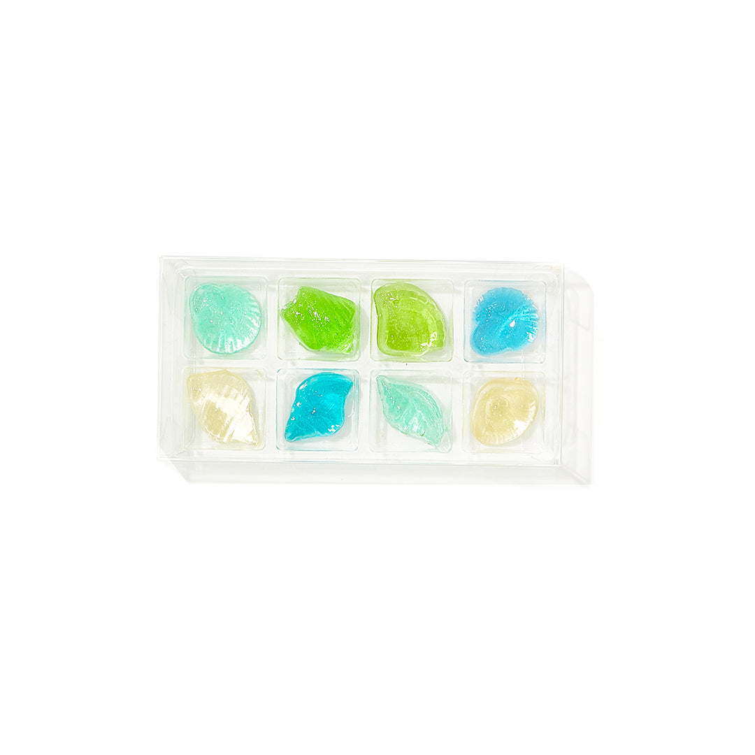 Candy Cubes | Seashell 8 Pack