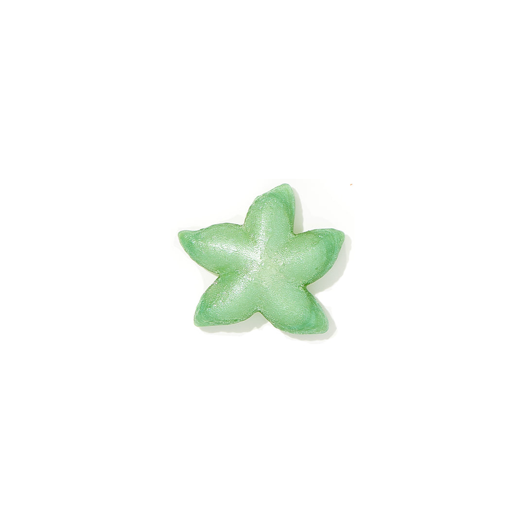 Hollow Hard Candy | Ocean Starfish