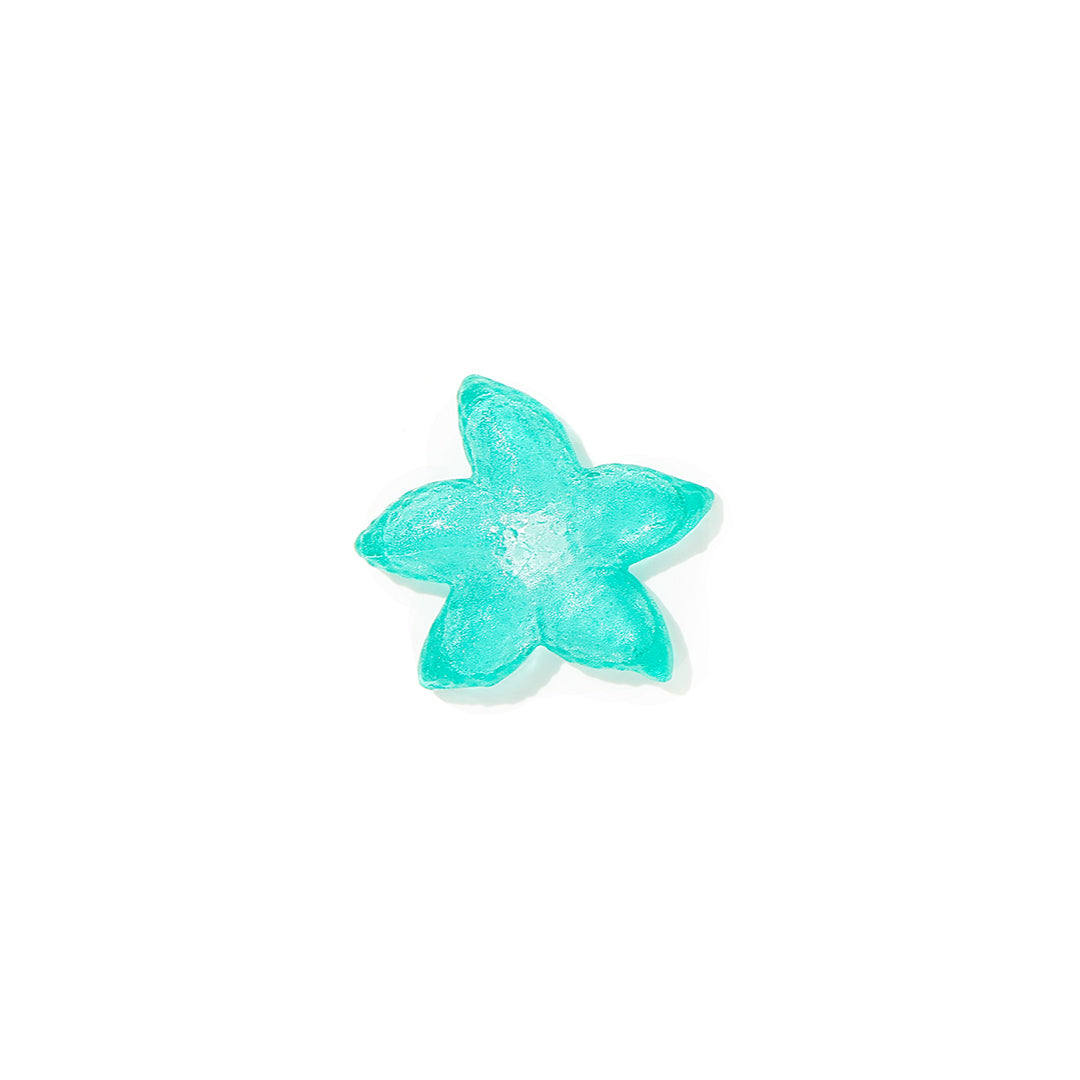 Hollow Hard Candy | Ocean Starfish