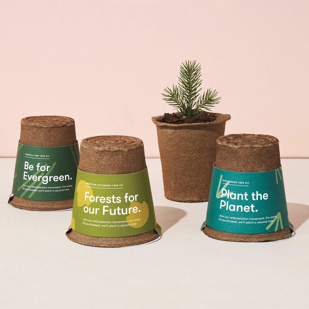 
                  
                    One-For-One Tree Kits | Amazing Pinatas 
                  
                