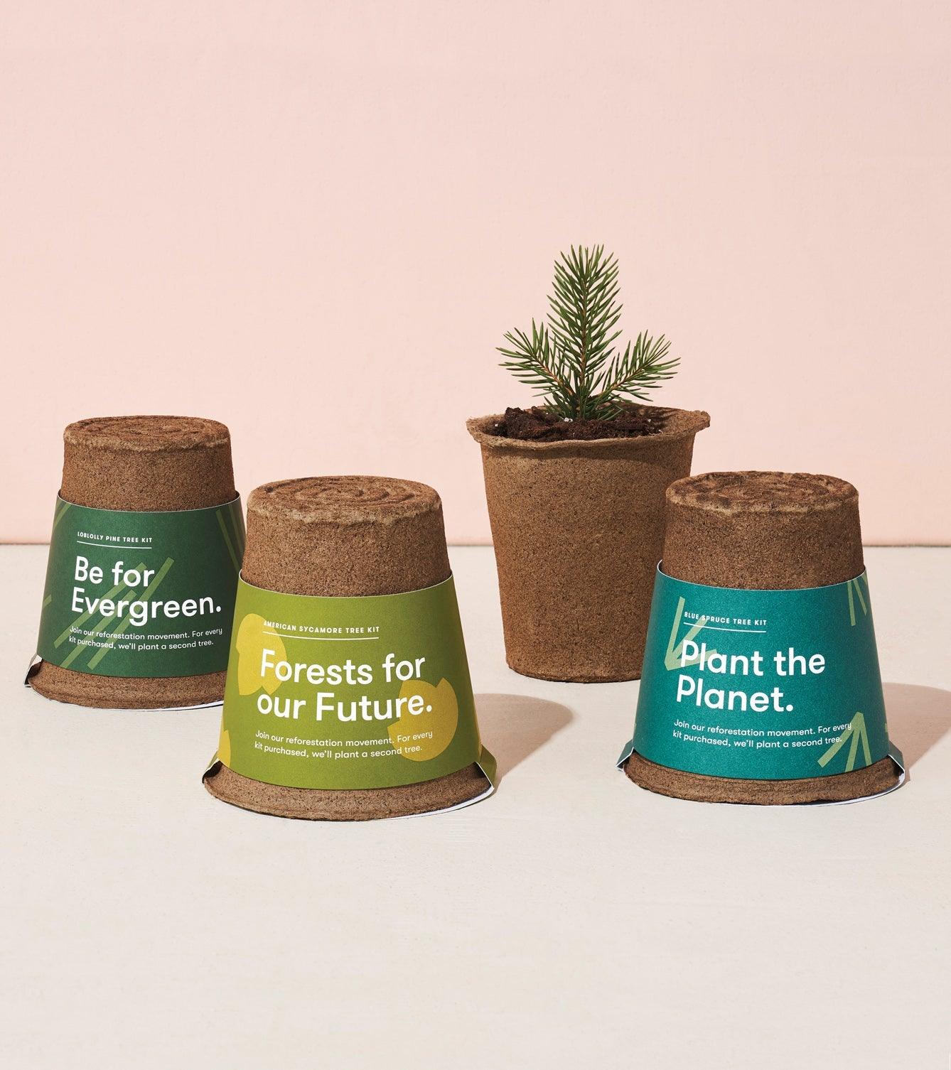 One-For-One Tree Kits | Amazing Pinatas 