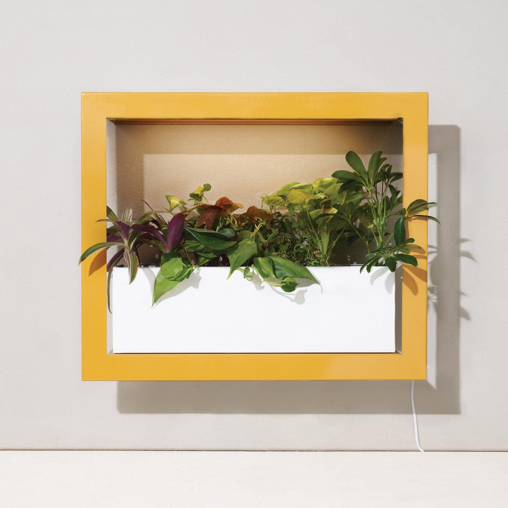 
                  
                    Planter Box | Amazing Pinatas 
                  
                