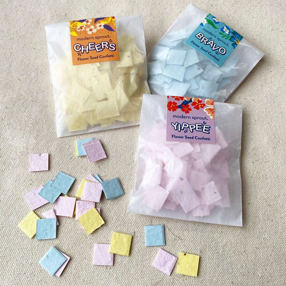 
                  
                    Seed Paper Confetti Refill Packs | Amazing Pinatas 
                  
                