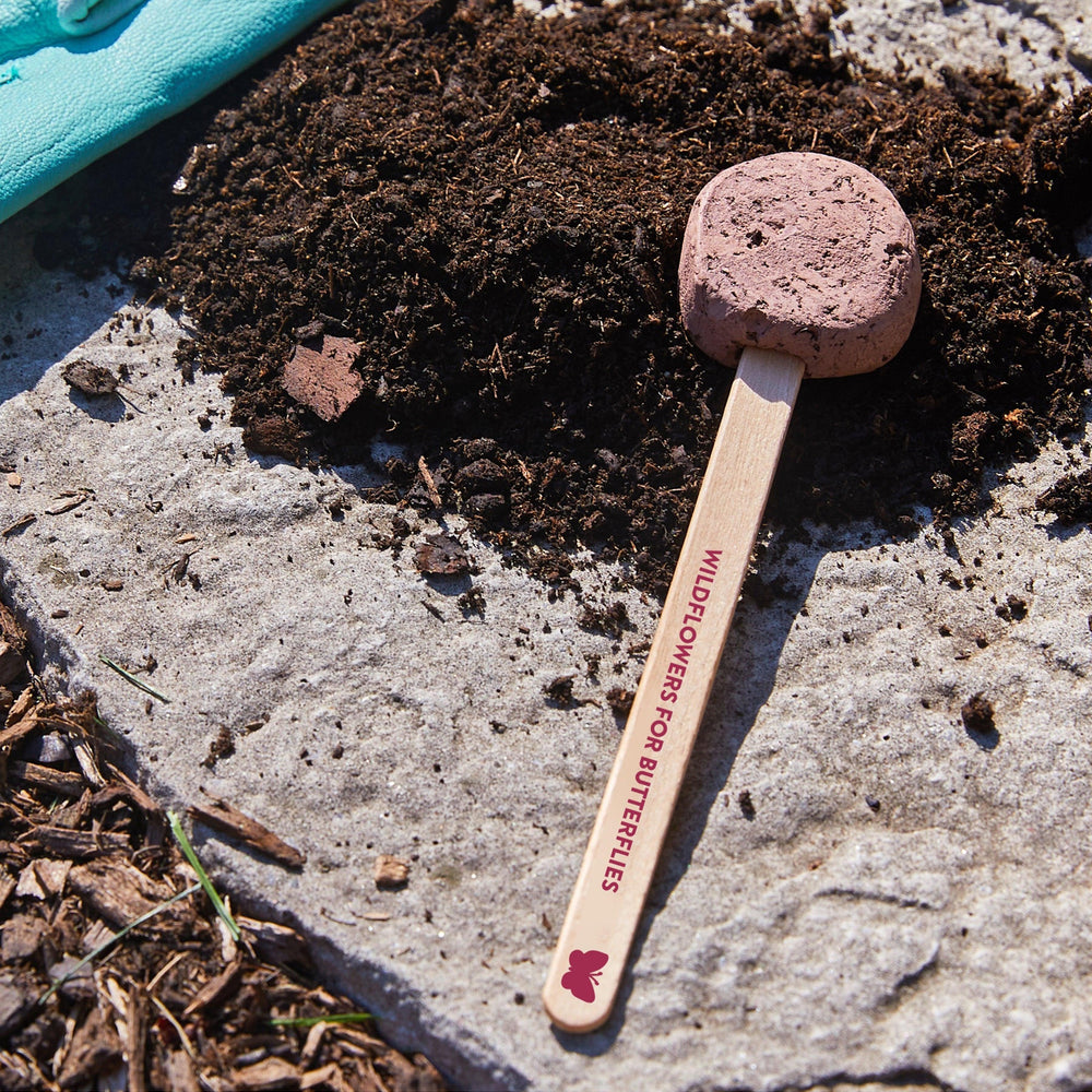 
                  
                    Seed Pops - Garden | Amazing Pinatas 
                  
                