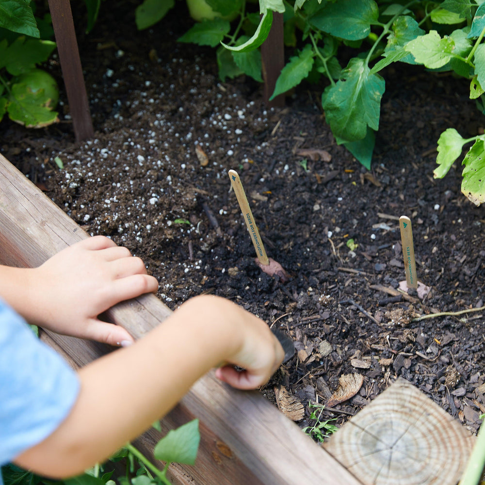 
                  
                    Seed Pops - Garden | Amazing Pinatas 
                  
                