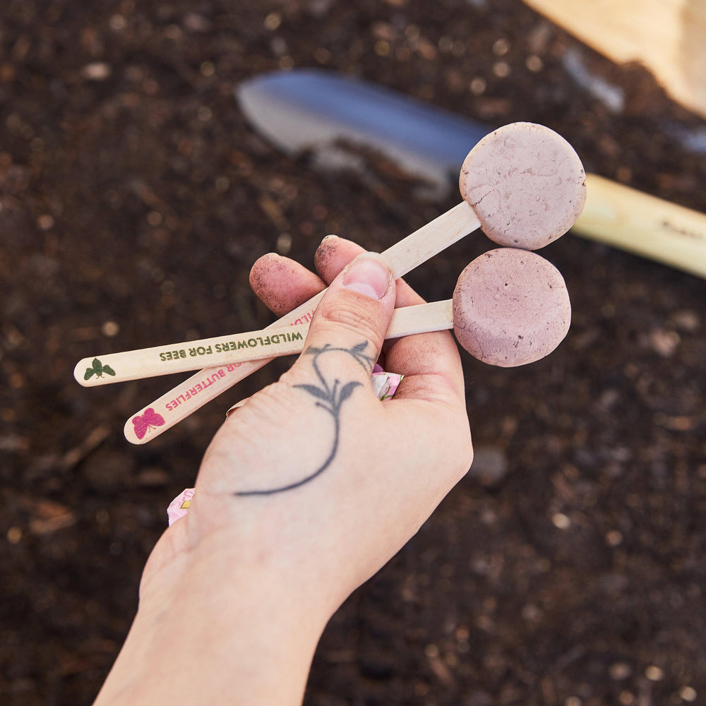 
                  
                    Seed Pops - Garden | Amazing Pinatas 
                  
                