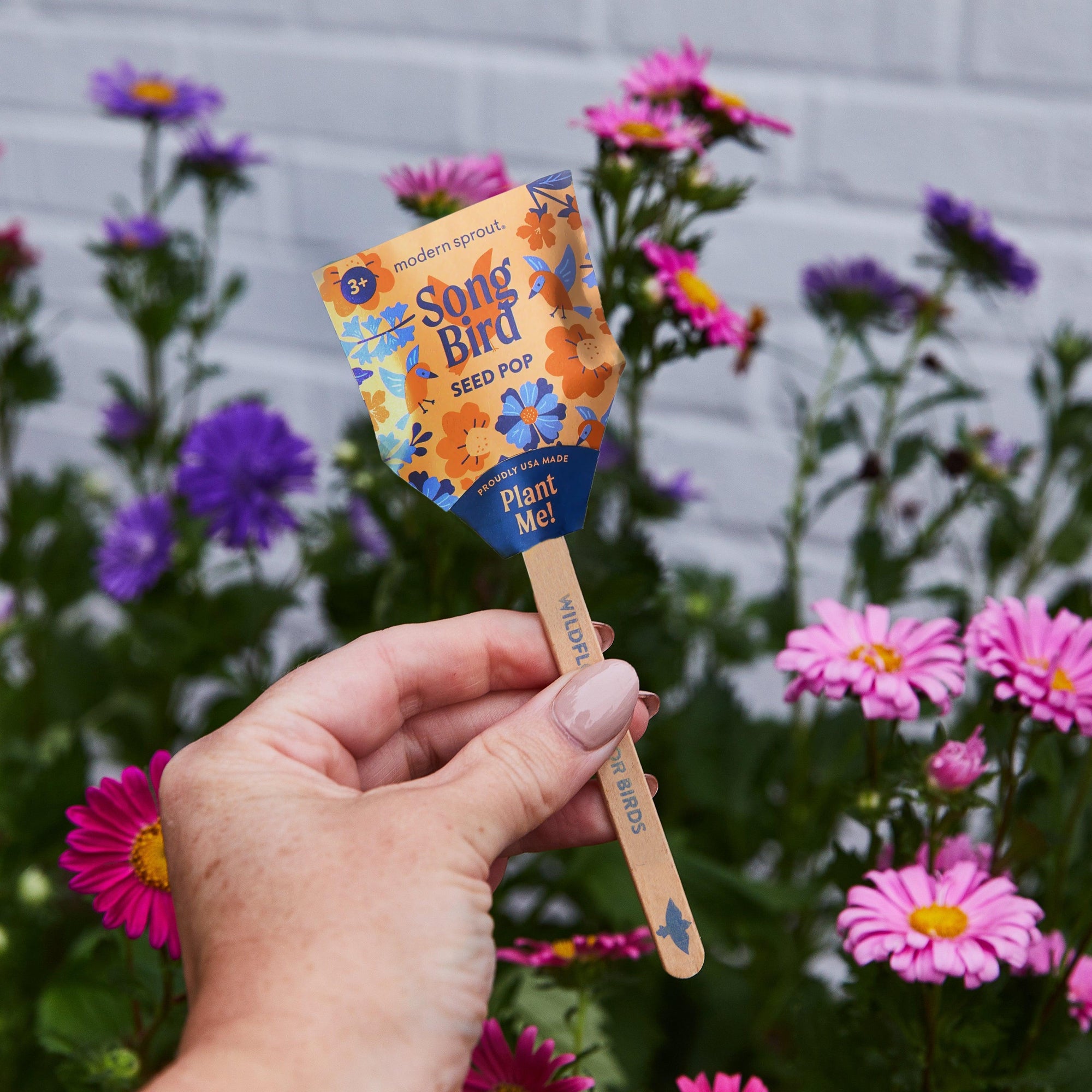 Seed Pops - Pollinator | Amazing Pinatas 