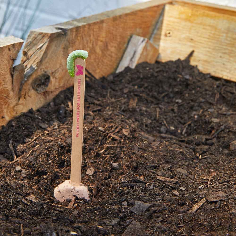 
                  
                    Seed Pops - Pollinator | Amazing Pinatas 
                  
                