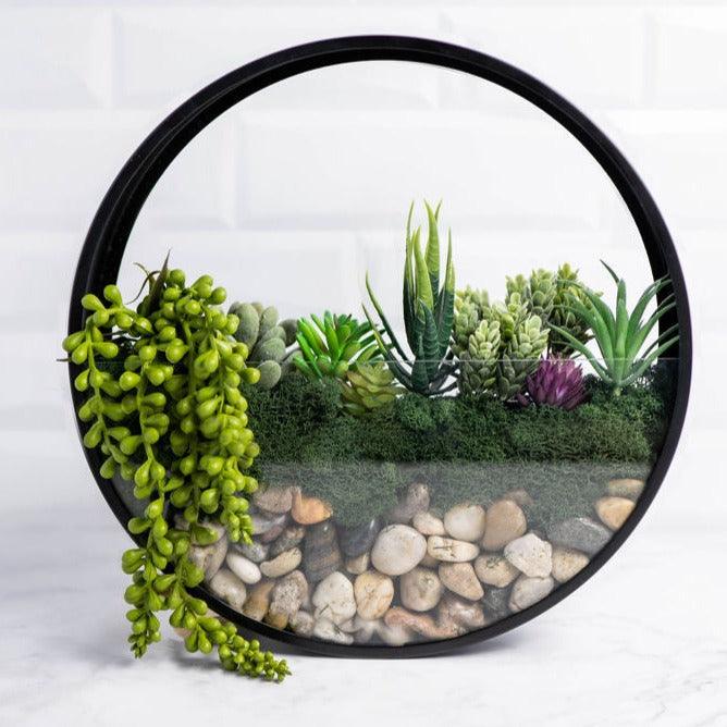 Wall Terrarium Kit | Amazing Pinatas 