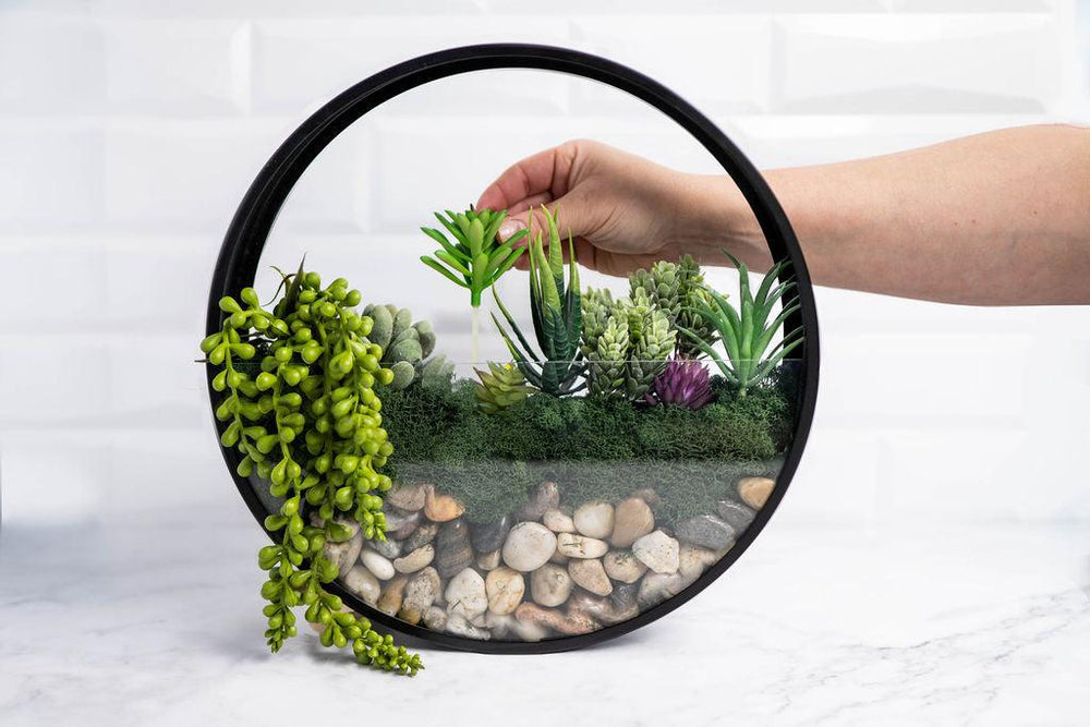 Wall Terrarium Kit | Amazing Pinatas 