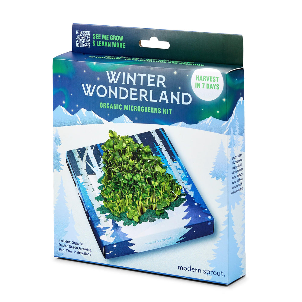 Winter Wonderland Microgreens Kit | Amazing Pinatas 