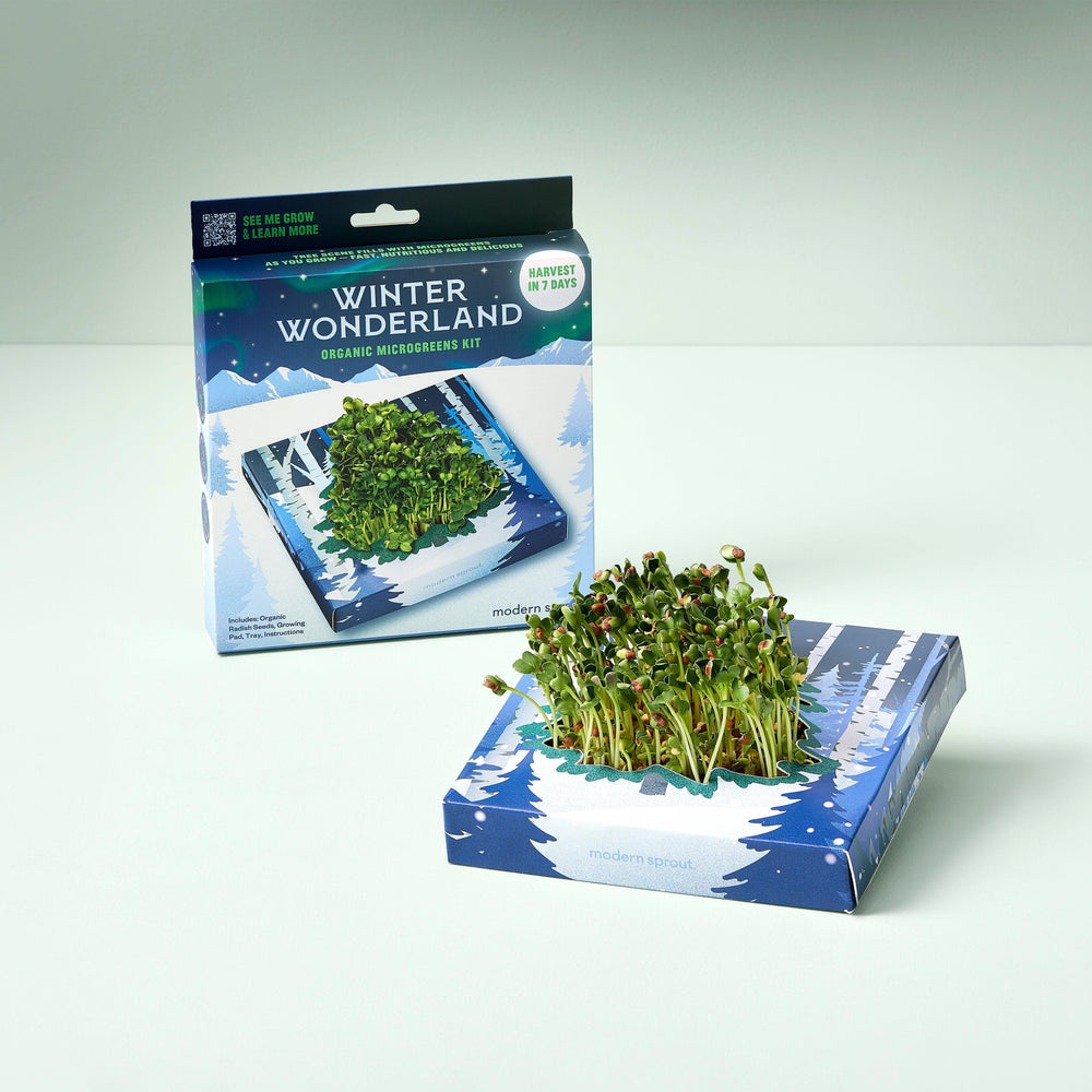 Winter Wonderland Microgreens Kit | Amazing Pinatas 