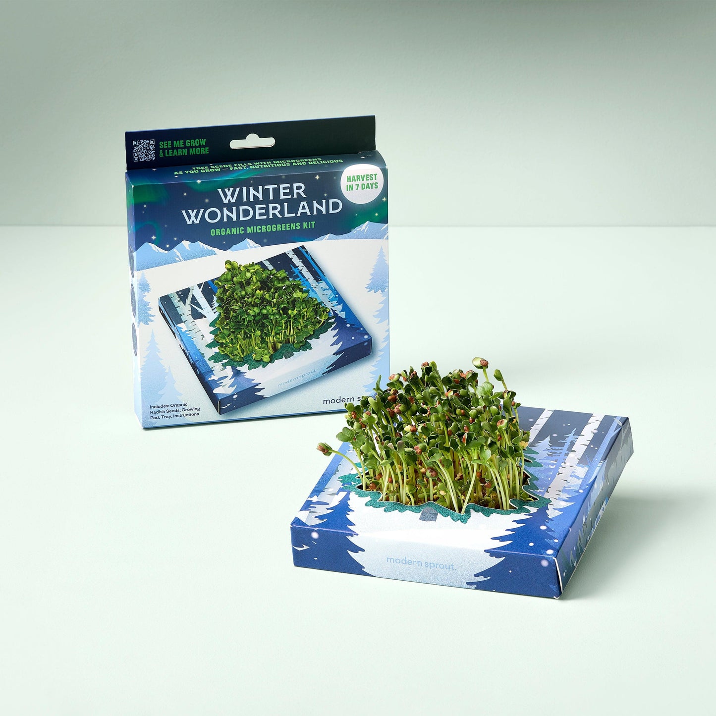 Winter Wonderland Microgreens Kit | Amazing Pinatas 